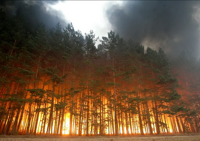 Лесные пожары атаковали еще два дальневосточных региона