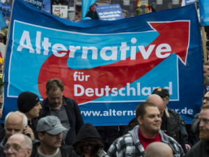 Немецкие ультраправые празднуют победу в социальных сетях